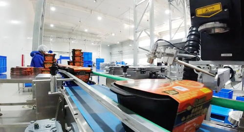 一盒自热火锅催熟产业集群 国内大循环下的消费新格局